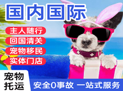 贡嘎航空邮寄国际宠物托运 【国